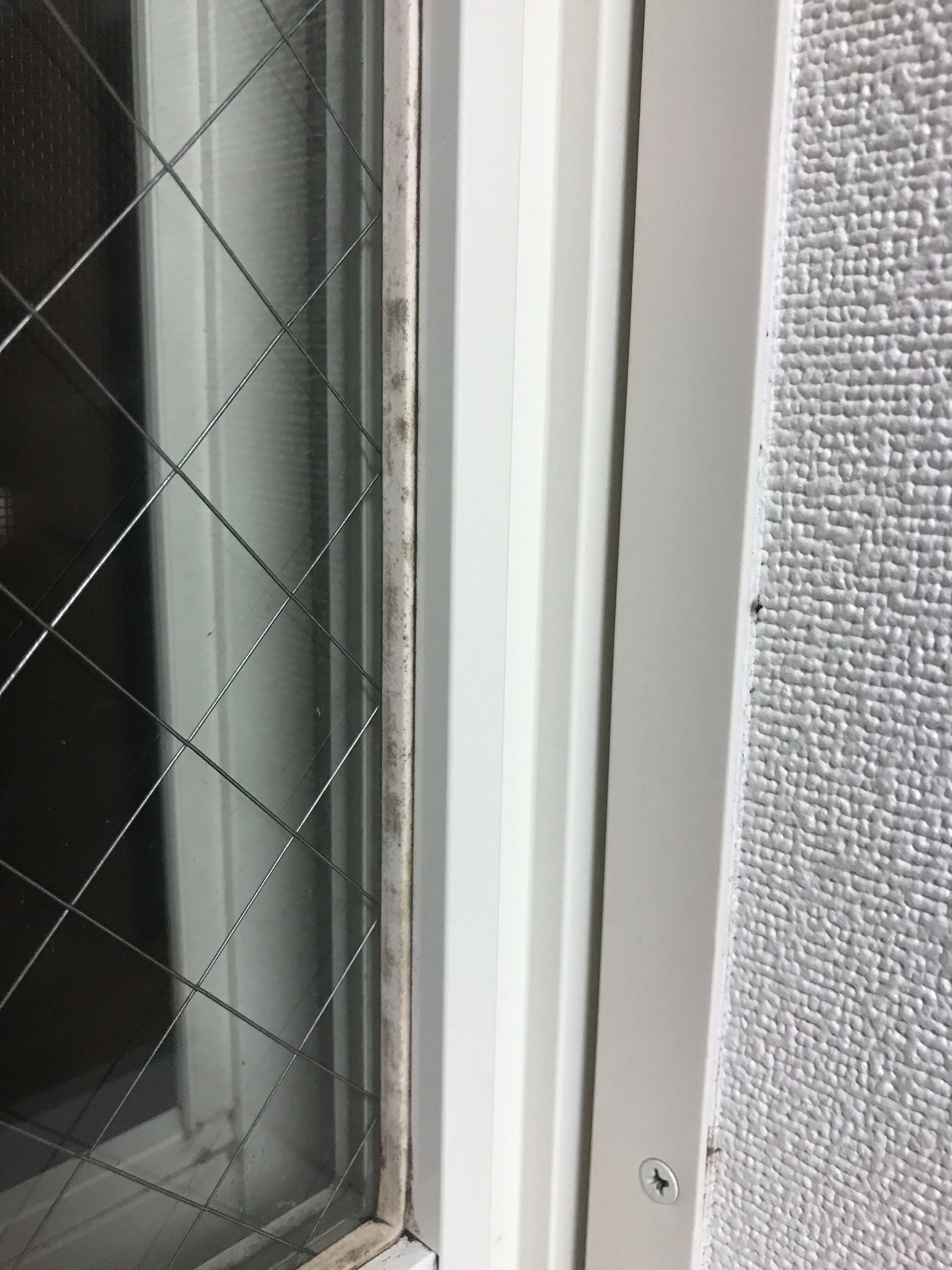 カビ取り　効果試験1